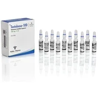 Testo. Base Alpha