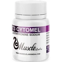 T3 Muscle