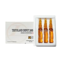 Cipionato 3×2 Landerlan